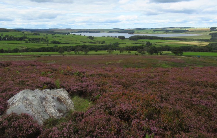 View of the Reservoir from Muggleswick Moor