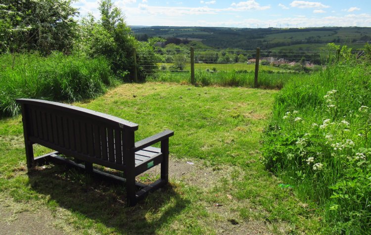 Medomsley - Bench looking over the valley on the Derwent walk Bench looking over the valley on the Derwent walk