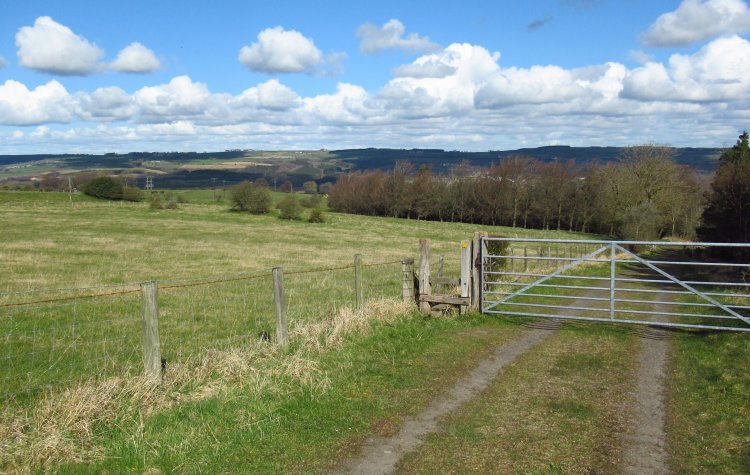 Medomsley - View from the farm track near Medomsley View from the farm track near Medomsley