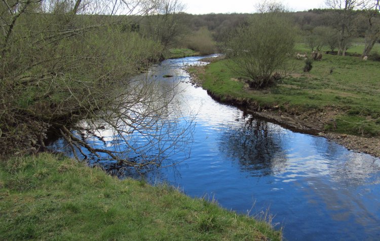 Medomsley - Derwent River near Blackhall Mill Derwent River near Blackhall Mill