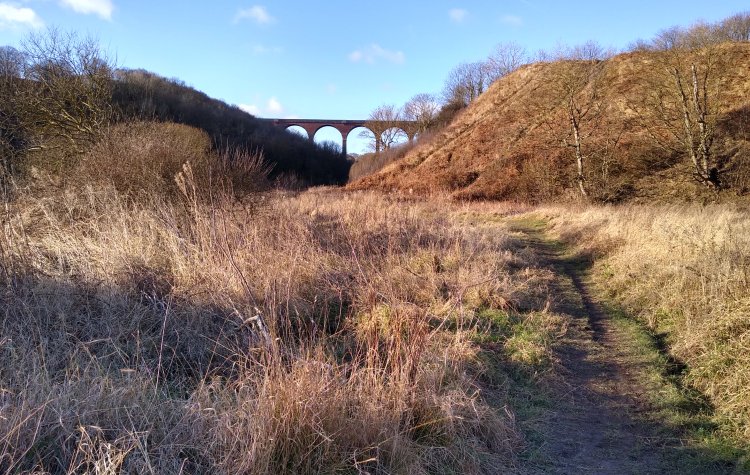 View of Denemouth viaduct at Castle Eden Dene