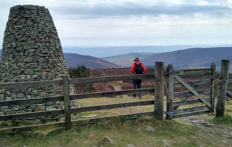 View from Three Brethren near Yair Hill Forest