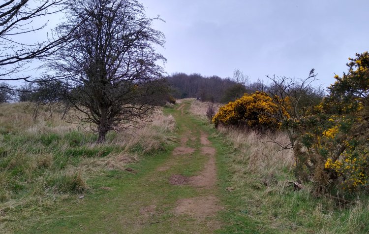 Dalgety Bay - Track towards Letham Hill Wood Track towards Letham Hill Wood near Dalgety Bay