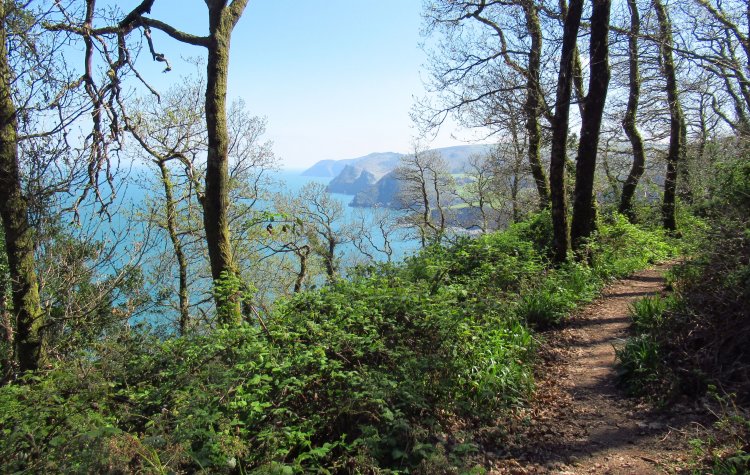 Woody Bay - Woodland path along the coast Woodland path along the coast
