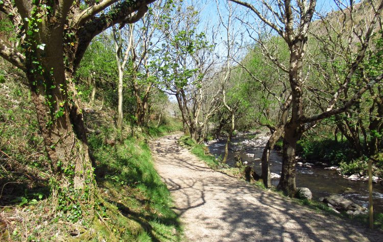 Woody Bay - Path along the River Heddon Path along the River Heddon