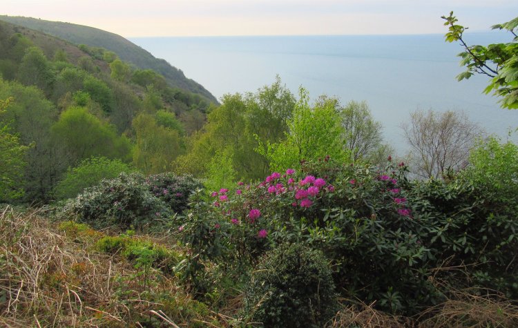 Minehead - View from the coastal path View from the coastal path