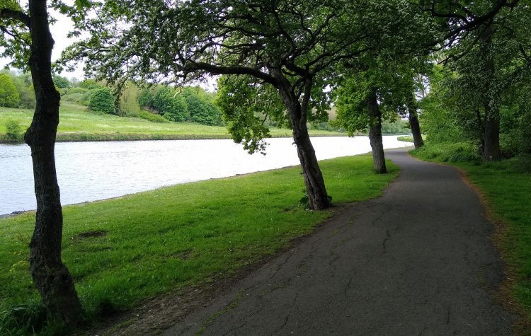 River Wansbeck near Ashington