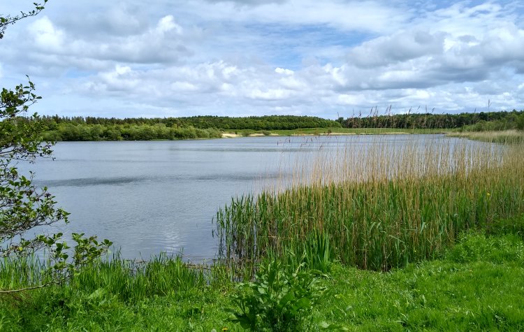 Queen Elizabeth II Country Park near Newbiggin By The Sea