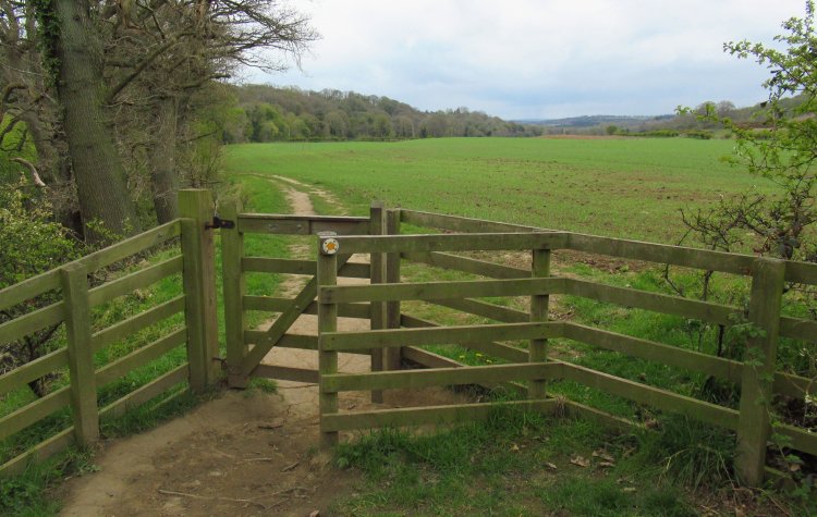 Derwent river path at Broad Oak Farm