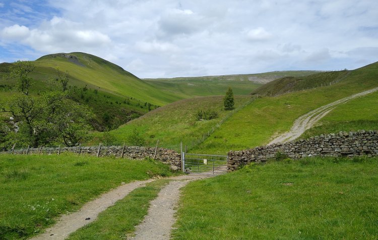 Farm Track in the Pennine Hills near Dufton
