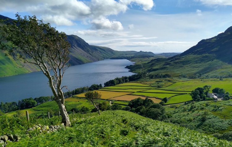 View of Wast Water