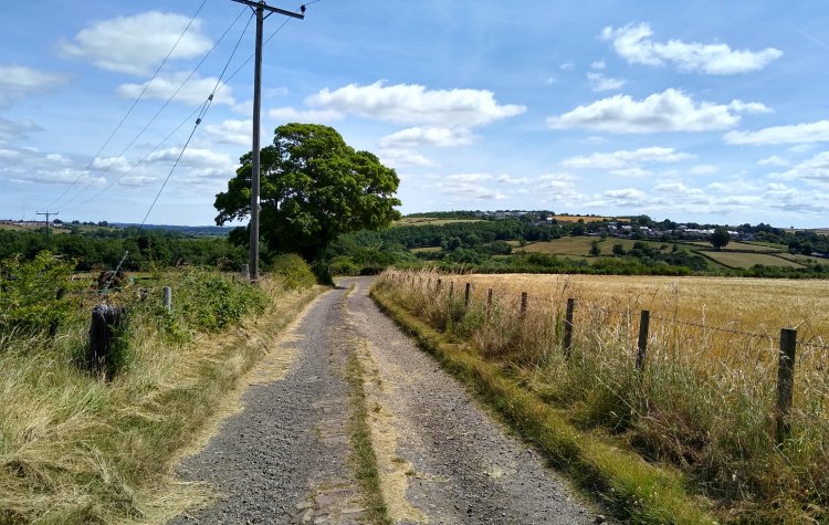 Brancepeth - Farm track near Willington Farm track near Willington