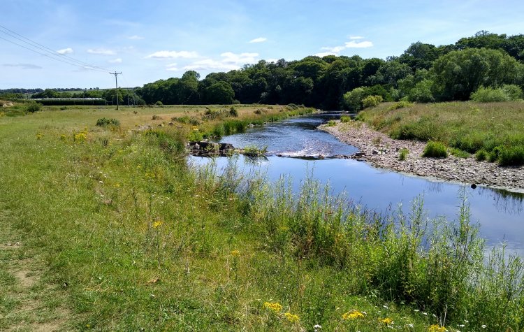 Brancepeth - River Wear at Lowfield farm River Wear at Lowfield farm