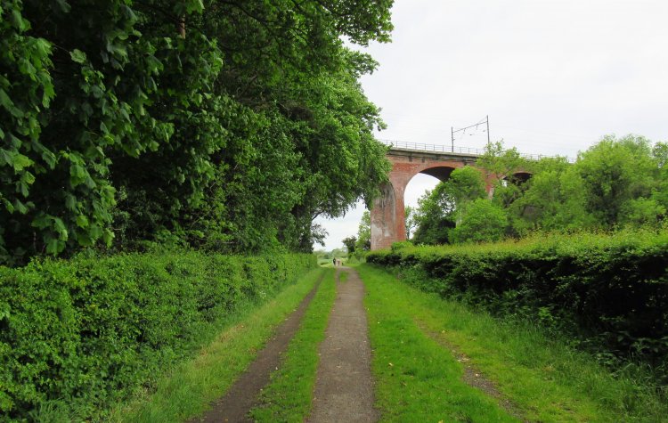 Brancepeth - Track under the Viaduct Track under the Viaduct
