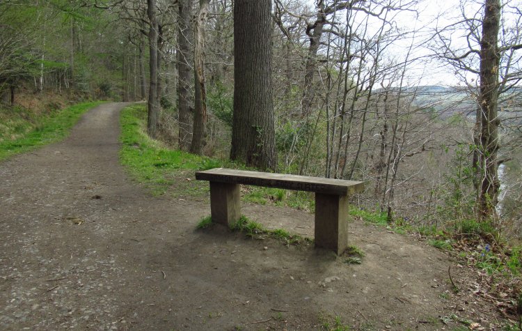 View of the Derwent Gorge from Chopwell Wood