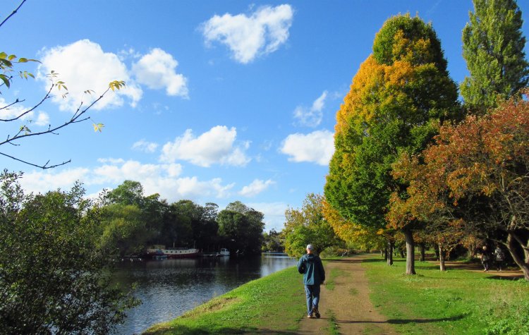Twickenham - Path along the River Thames near Hampton Court Palace Path along the River Thames near Hampton Court Palace