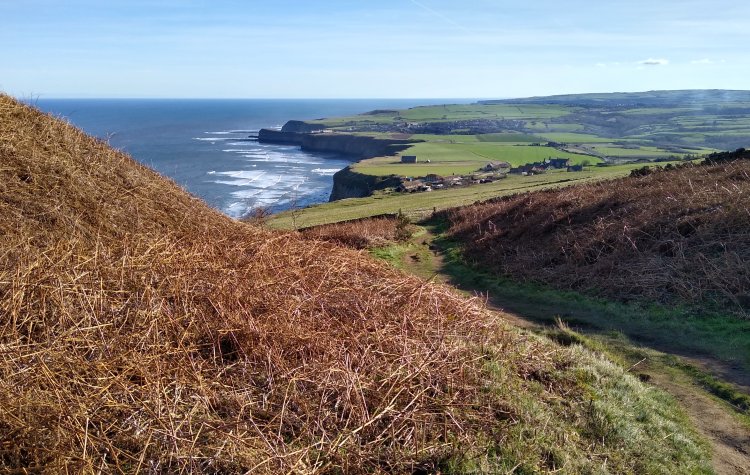 Coastal view on the North York Moors near Staithes