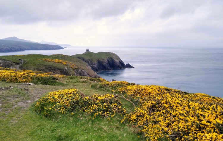 Abereiddy - Distant view of a Promotory Fort Distant view of a Abereiddy Promotory Fort