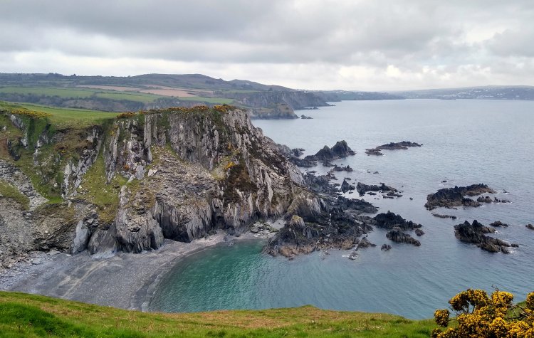 Dinas - Cliffs at Fishguard Bay Cliffs at Fishguard Bay near Dinas
