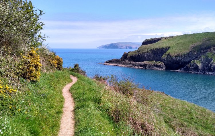 Dinas - Track at Aberfforest Bay Track at Aberfforest Bay near Dinas