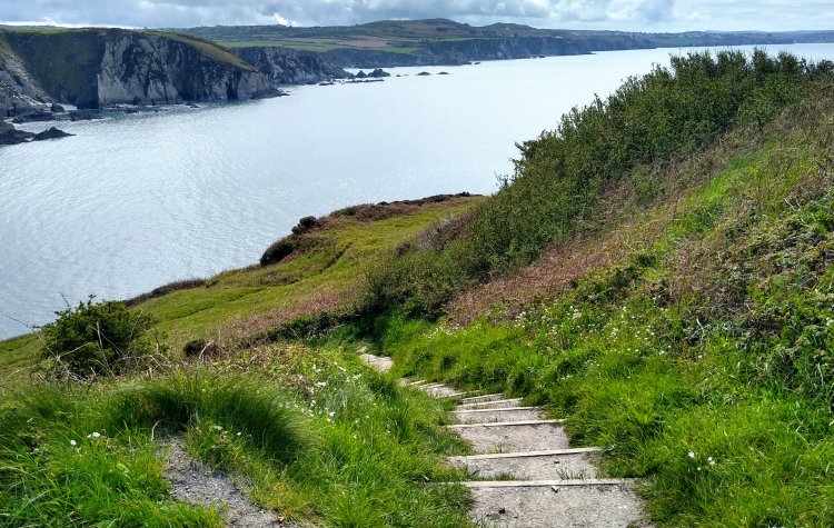 Dinas - Steps down to Pwllgwaelod Beach Steps down to Pwllgwaelod Beach near Dinas