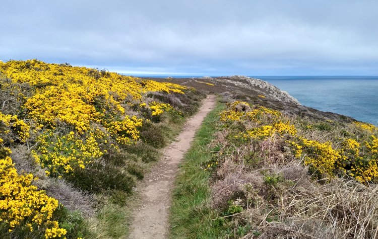 Whitesands Bay - Pembrokeshire Coast Path Pembrokeshire Coast Path near Whitesands Bay