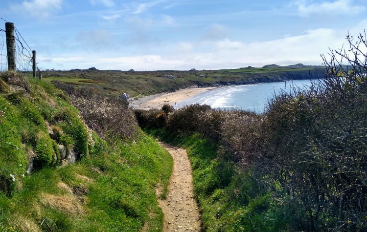 Whitesands Bay - Pembrokeshire Coastal Path Distant View of Whitesands Bay from the Pembrokeshire Coastal Path