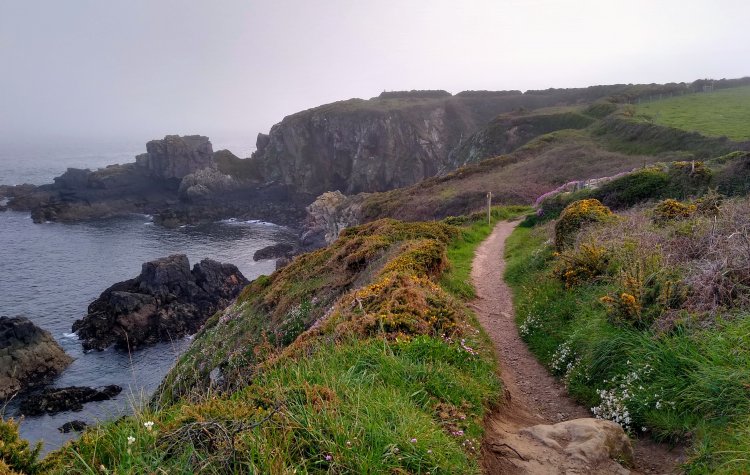 Coastal cliff top path