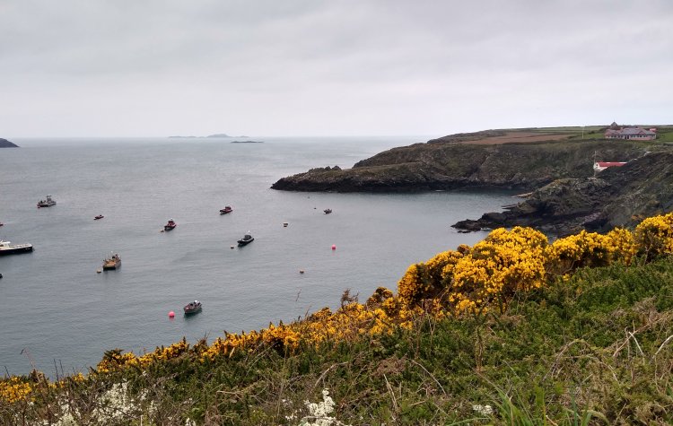 Boats near the St Justinian's Life Boat Station