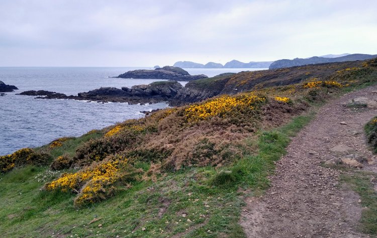 Rocky Islands on the Pembrokeshire Coast near St David's