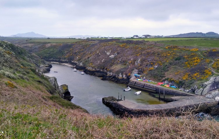 Porthclais Harbour near St David's