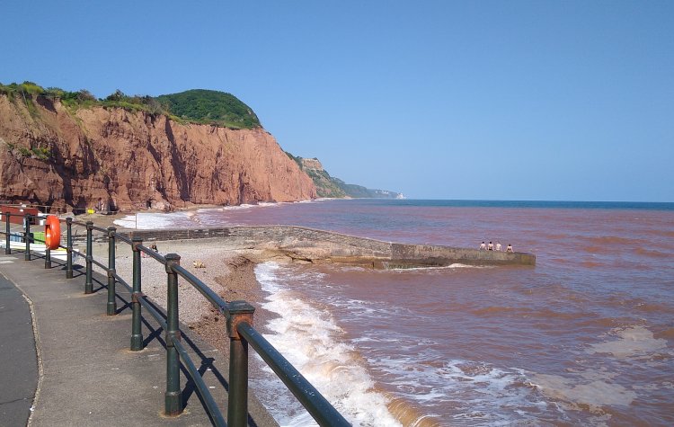 View of cliffs near Sidmouth