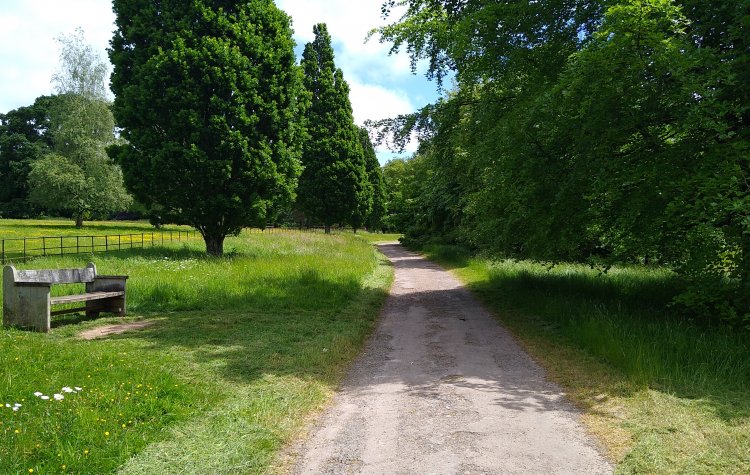 Knightshayes - Parkland Road through the Estate Knightshayes Court Parkland Road through the Estate