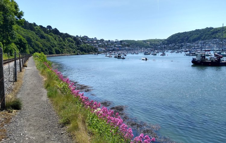 Path along the River Dart to Dartmouth Harbour