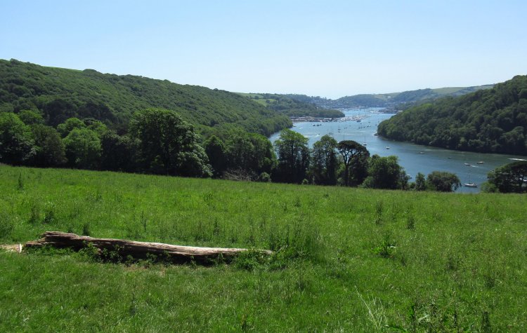 View of the River Dart