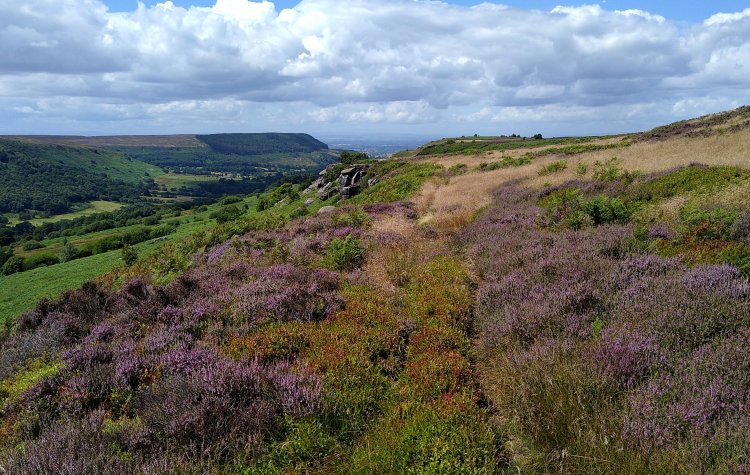 Barkers Crags near Scugdale (North York Moors)