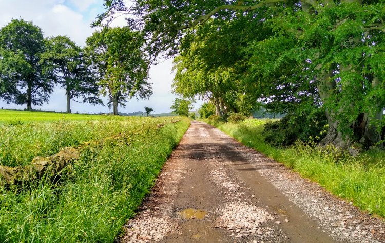 Track to Shaftoe Crags from Bolam Lake