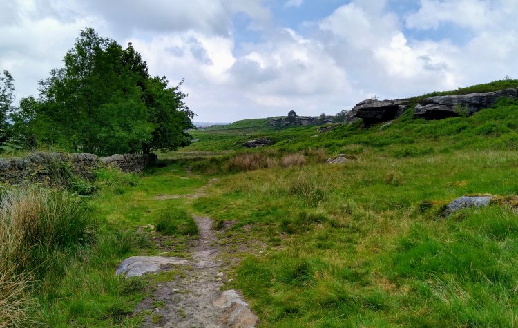 Shaftoe Crags near Bolam Lake