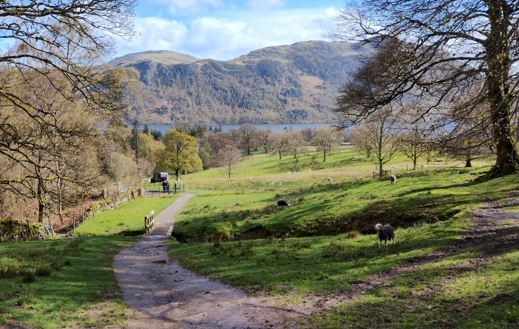 Path from park brow car park.