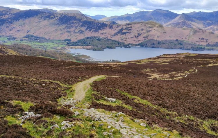 Track up to Bleaberry Fell