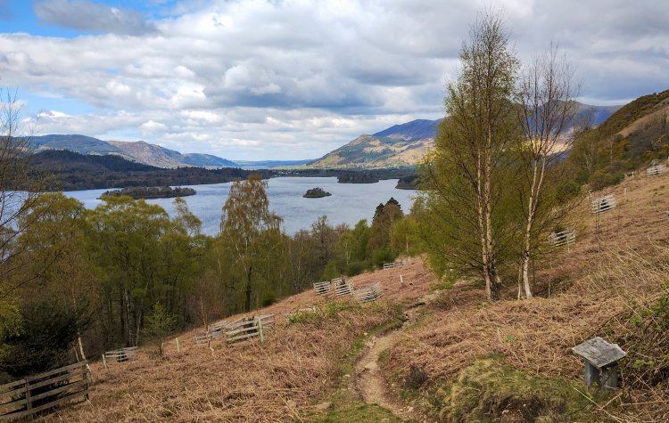 Path alongside Derwentwater