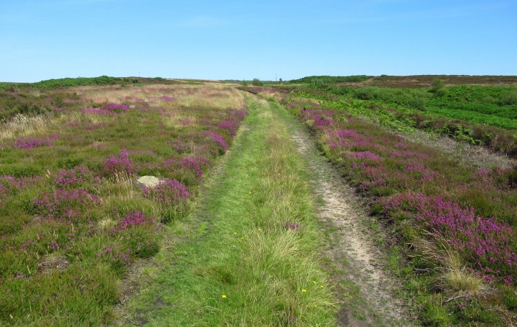 Track to the Beacon Howes near Ravenscar