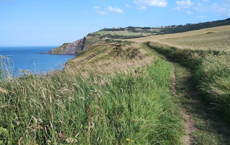 View from the Cleveland Way towards Ravenscar