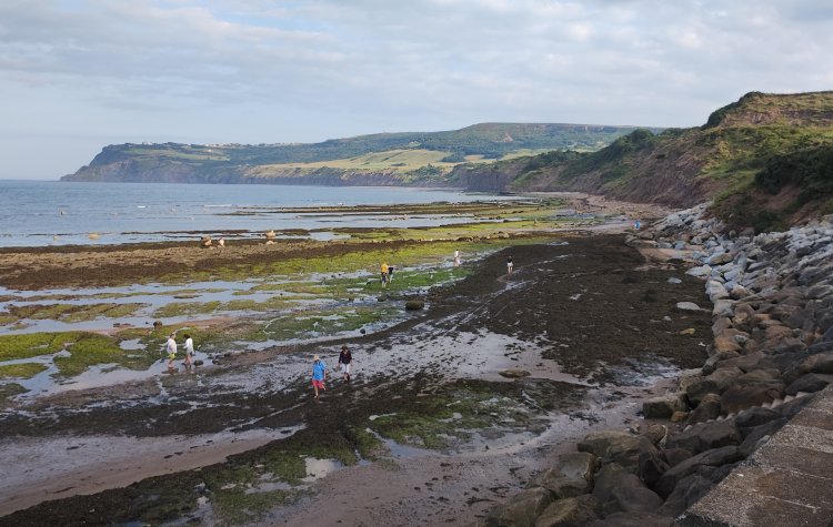 Coastal View towards Ravenscar at Robin Hood's Bay
