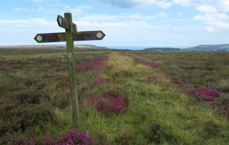Footpath waymarked sign on the North York Moors near Littlebeck and Falling Foss