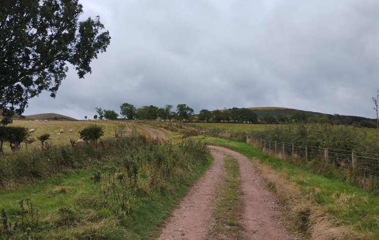 Farm Track near Ingram