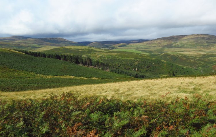 View of the Cheviot hills