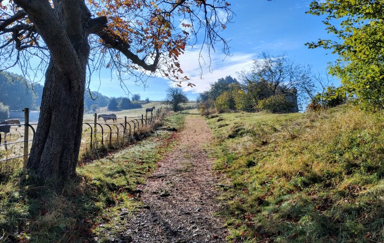 Matlock - Path up to High Tor Path up to High Tor