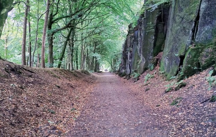 Ambergate to Whatstandwell - Path on the High Peak Trail Path on the High Peak Trail