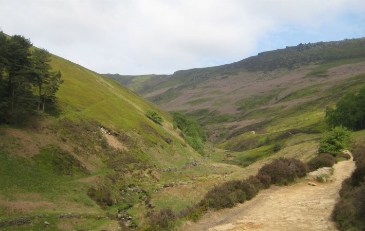 Path alongside Grinds Brook